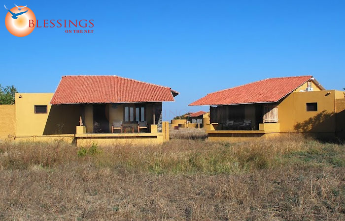 The Blackbuck Lodge, Velavadar